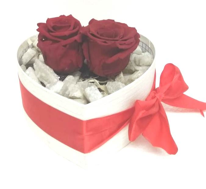 2 Rosas Preservadas en Caja Coraz�n